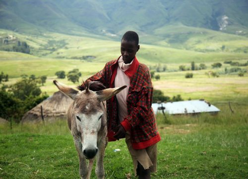 UPF Prayer Journey to Lesotho