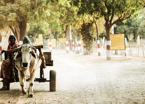 UPF Prayer Journeys to India